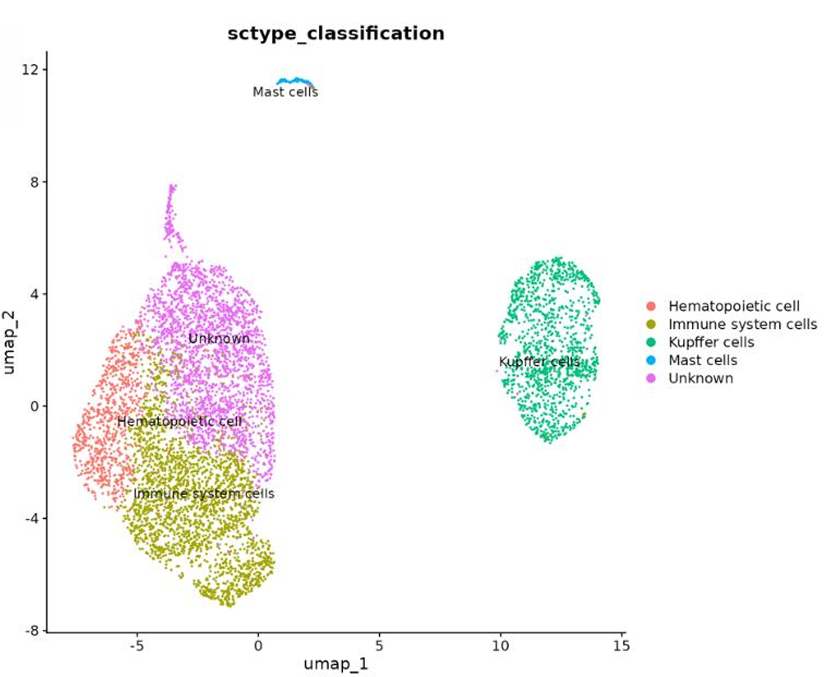 UMAP Classification