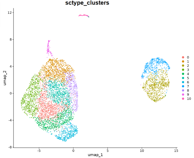 UMAP Cluster